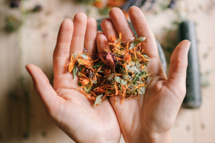découvrez la naturopathie, une approche holistique de la santé qui privilégie les méthodes naturelles pour favoriser le bien-être. apprenez comment cette discipline peut vous aider à équilibrer votre corps et votre esprit grâce à des conseils personnalisés en nutrition, phytothérapie et techniques de relaxation.