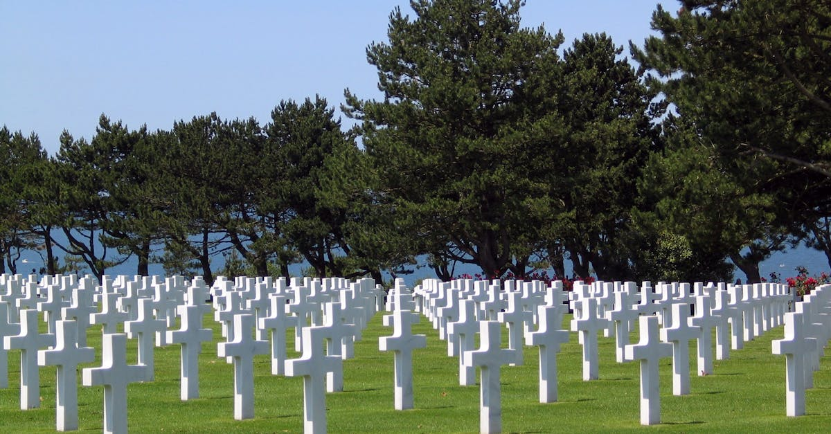 découvrez nos services funéraires professionnels et respectueux, offrant une assistance complète pour honorer la mémoire de vos proches dans un cadre apaisant et solennel. nous sommes à votre écoute pour vous accompagner dans ces moments difficiles.