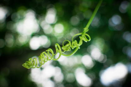 découvrez le curling, un sport de précision et de stratégie qui se joue sur la glace. apprenez les règles, les techniques et l’histoire de cette discipline passionnante, tout en explorant les événements majeurs et les équipes de renommée.