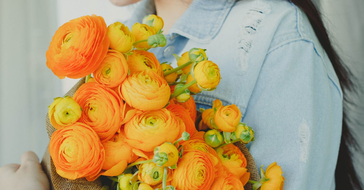 découvrez une sélection unique de cadeaux parfaits pour toutes les occasions : anniversaires, fêtes et moments spéciaux. faites plaisir à vos proches avec des idées originales et personnalisées qui raviront leurs cœurs.