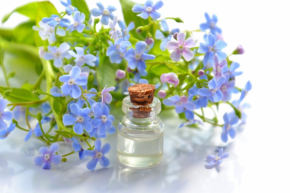 découvrez le monde fascinant des huiles essentielles : bienfaits, utilisations et conseils pour intégrer ces trésors naturels dans votre quotidien. apprenez à apaiser votre esprit et à revitaliser votre corps grâce aux arômes envoûtants et aux propriétés thérapeutiques des huiles essentielles.