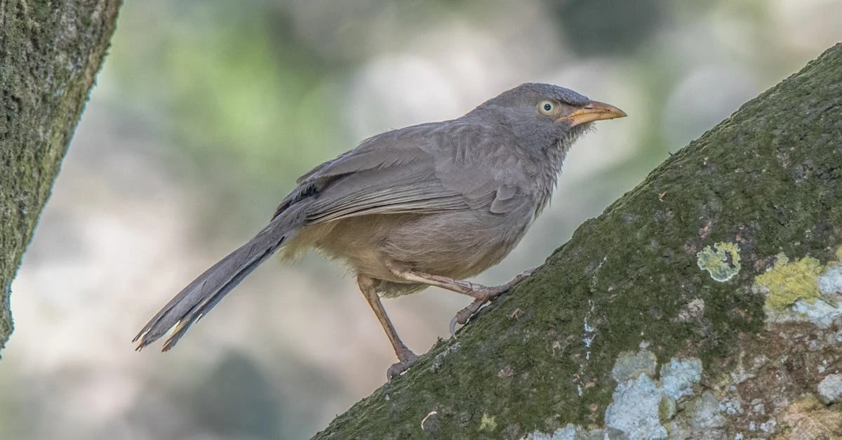 découvrez notre exfoliant contre l'acné conçu pour nettoyer en profondeur, désincruster les pores et réduire les imperfections. idéal pour une peau plus nette et éclatante !