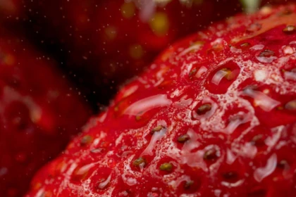 découvrez les causes, symptômes et traitements de la rougeur de la peau. conseils pratiques pour soulager efficacement les rougeurs et prendre soin de votre peau au quotidien.