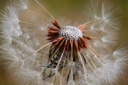 découvrez tout ce qu'il faut savoir sur le chino : ce pantalon polyvalent, tendance et confortable, idéal pour un look casual ou habillé. conseils de style et guide d'achat.