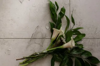 découvrez les détails du scandale aroma-zone, ses implications et l'impact sur la marque et ses consommateurs.