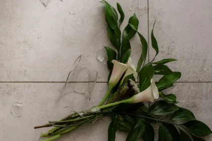 découvrez les détails du scandale aroma-zone, ses implications et l'impact sur la marque et ses consommateurs.