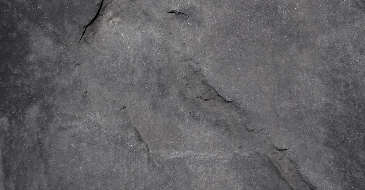 découvrez sirdov, une plateforme innovante dédiée à vos besoins, offrant des solutions sur mesure et un service de qualité.