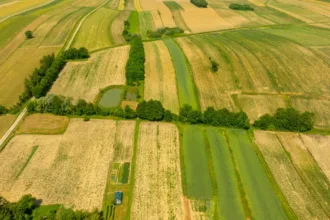 découvrez l'agriculture écologique, une approche respectueuse de l'environnement qui favorise la biodiversité, la santé des sols et une production durable.