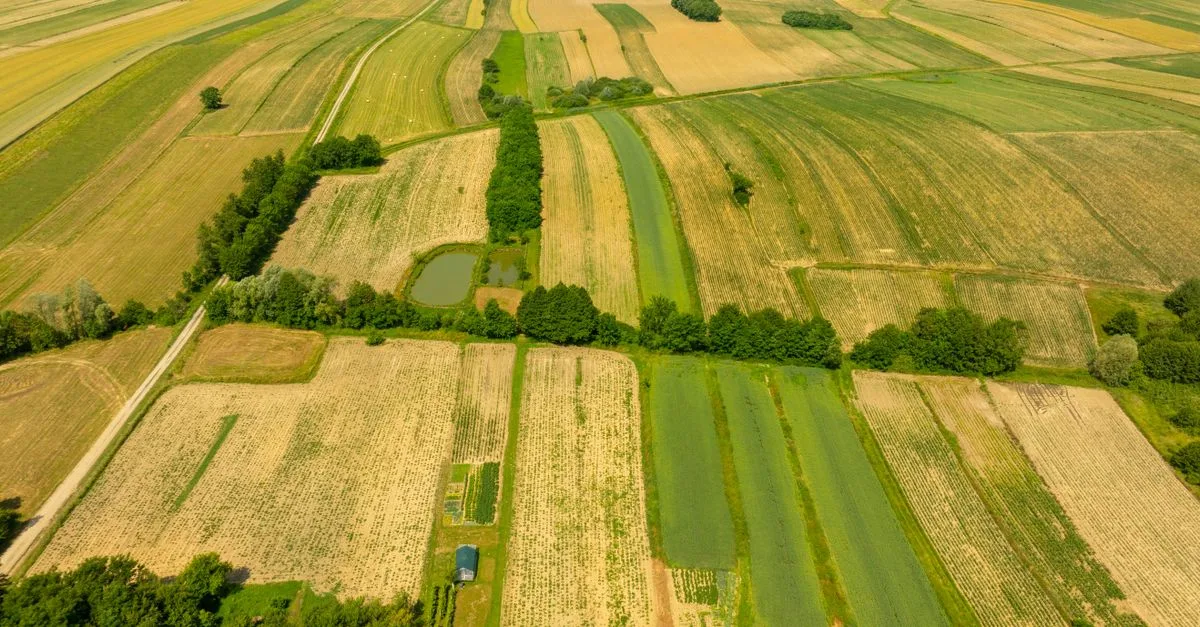 découvrez l'agriculture écologique, une approche respectueuse de l'environnement qui favorise la biodiversité, la santé des sols et une production durable.