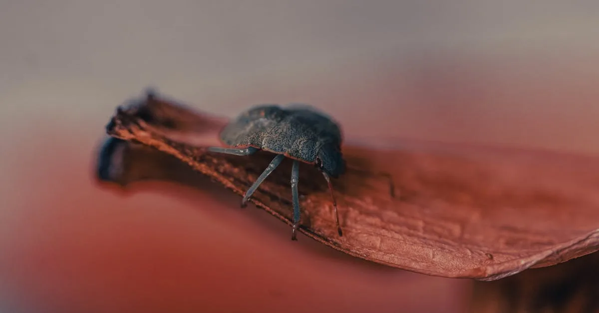 découvrez la technologie true tone qui ajuste automatiquement la couleur et l'intensité de l'écran pour un affichage naturel et confortable, adapté à l'environnement lumineux.