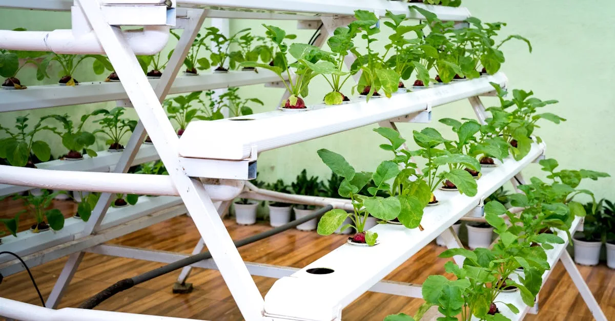 découvrez l'aquaponie, une méthode innovante combinant aquaculture et culture hydroponique pour produire des plantes et des poissons de manière durable et écologique.