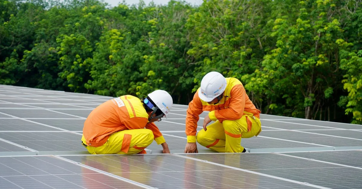 découvrez les réglementations environnementales essentielles pour protéger la nature et assurer un développement durable. informez-vous sur les lois et normes en vigueur.