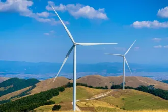 découvrez les réglementations environnementales essentielles pour protéger notre planète et assurer un développement durable.