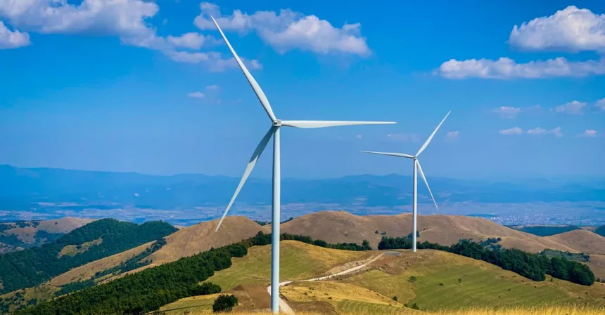 découvrez les réglementations environnementales essentielles pour protéger notre planète et assurer un développement durable.